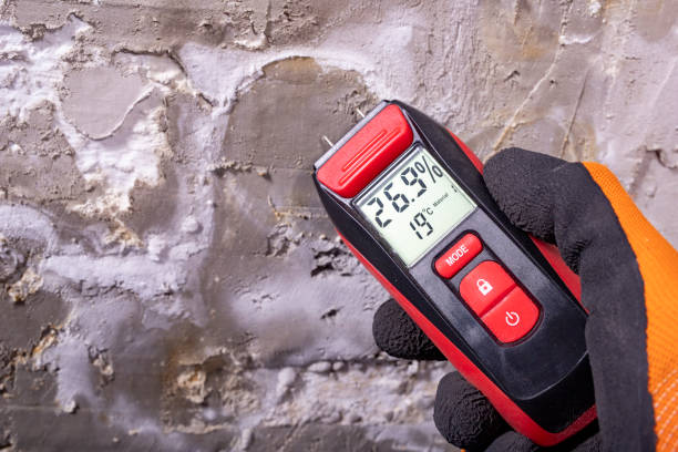 Best Emergency Mold Removal  in Lackawanna, NY